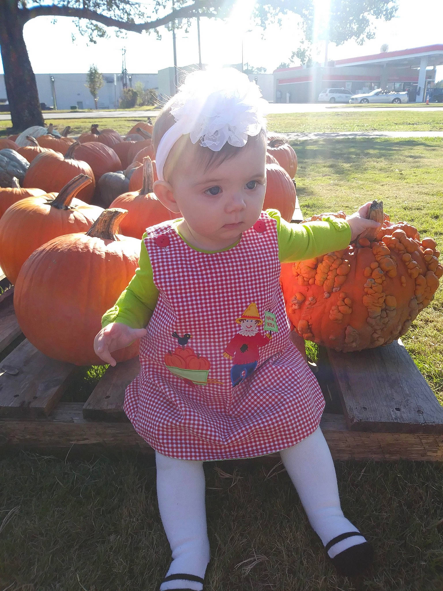 Aria is registered to the contest to win money with this photo: child, clothing, fun, grass, halloween, infant, person, play, pumpkin, toddler, toy