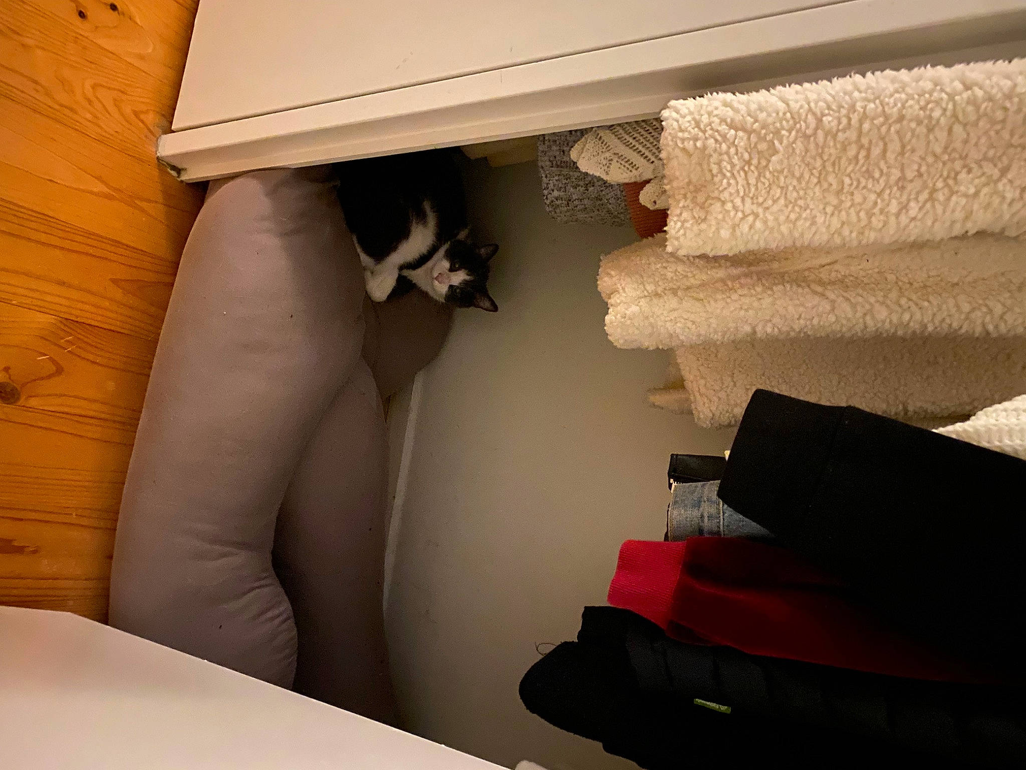 Cosmo joined the competition — help win amazing prizes! beauty, bedding, beige, carmine, comfort, flooring, hardwood, human_leg, interior_design, linens, material_property, paper, publication, room, shade, table, textile, tints_and_shades, wall, wood