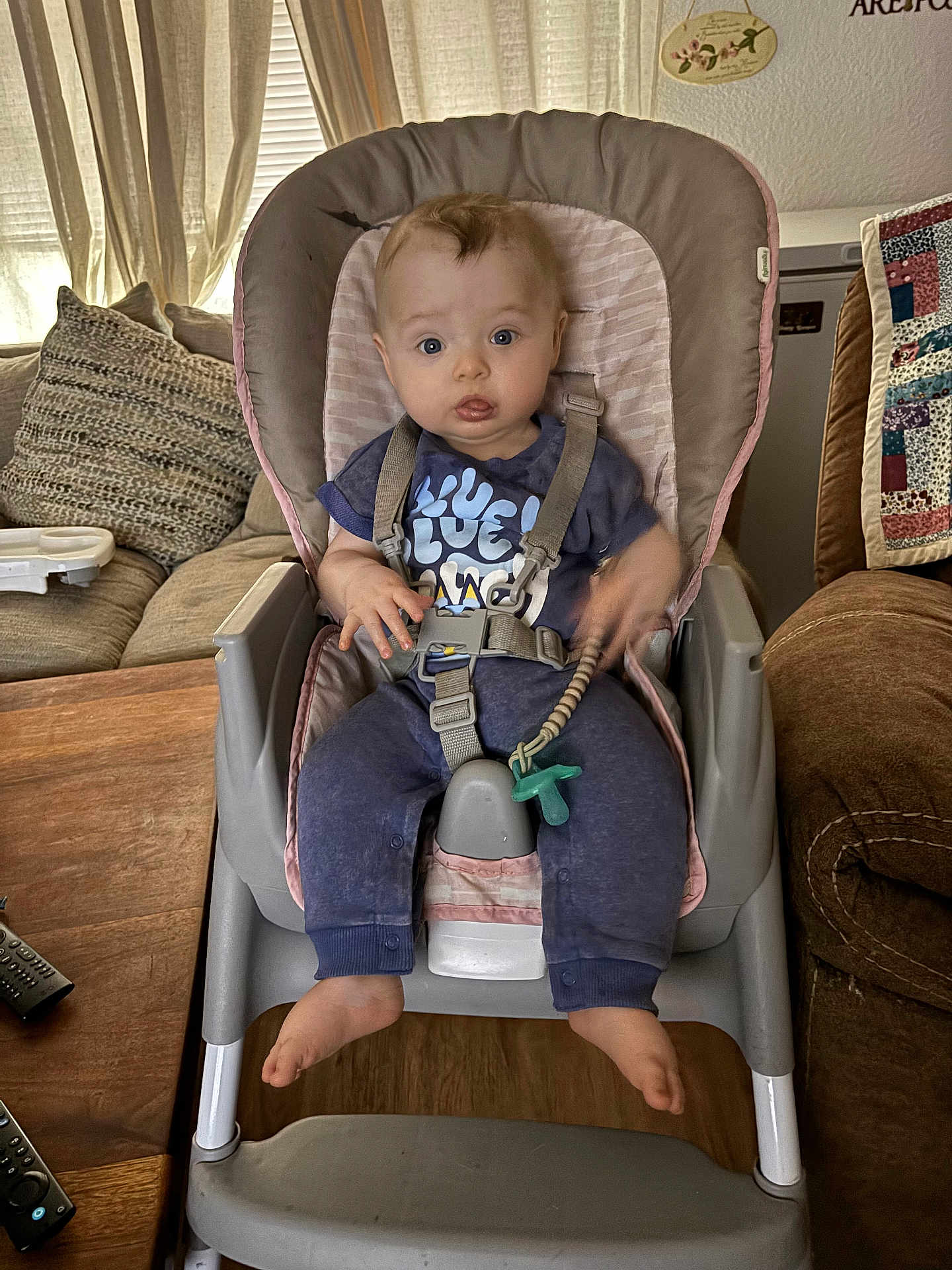 Colt is registered to the contest to win money with this photo: baby, child, high_chair, pacifier, blue_outfit, living_room, couch, pillow, curtains, wooden_floor, remote_control, furniture, indoors, seated, straps, expression, infant, person, home, comfort