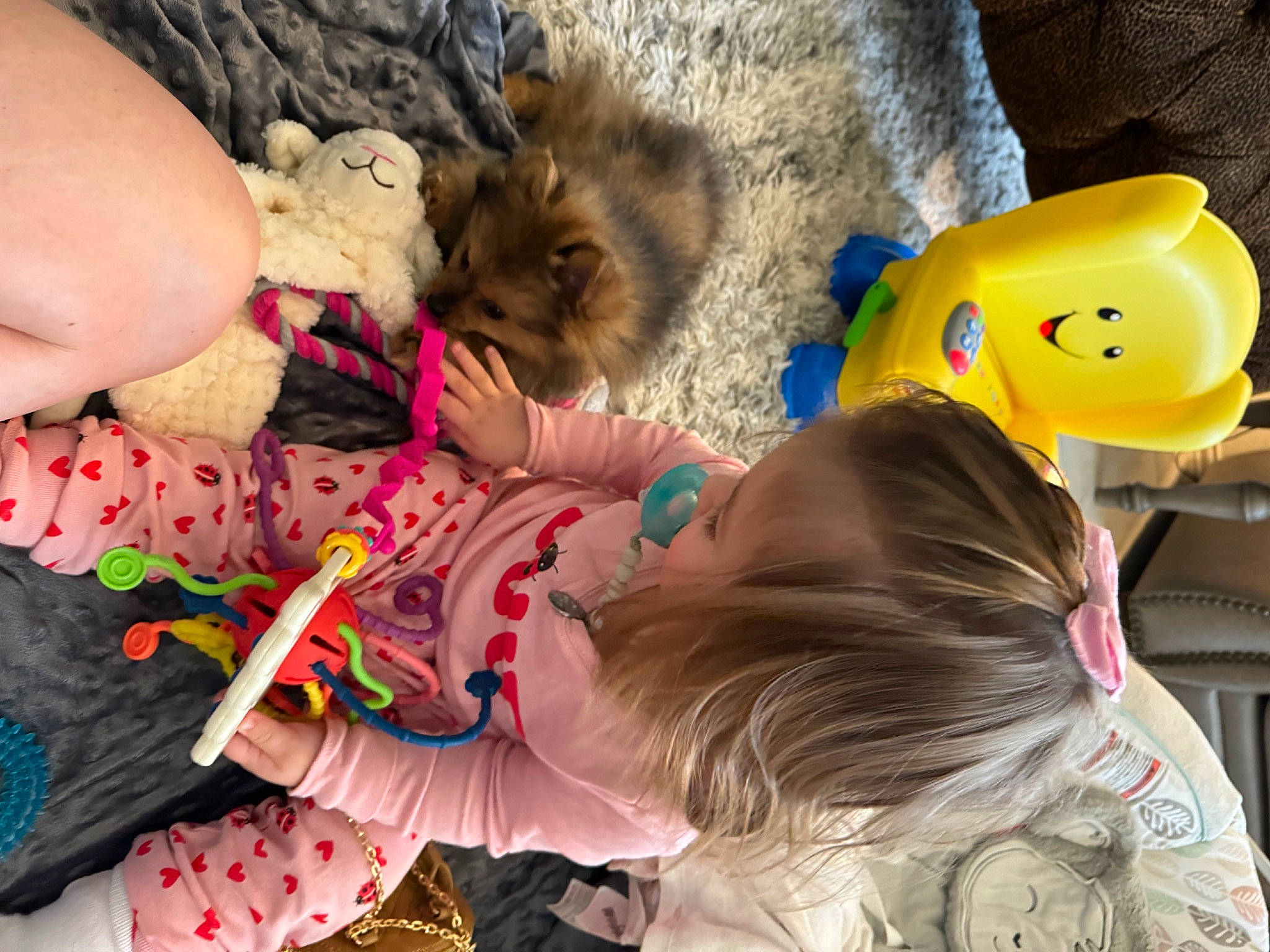 Brooke joined the competition — help win amazing prizes! baby, child, felidae, fun, fur, happy, hat, leisure, person, play, toddler, tree, vacation, visual_arts
