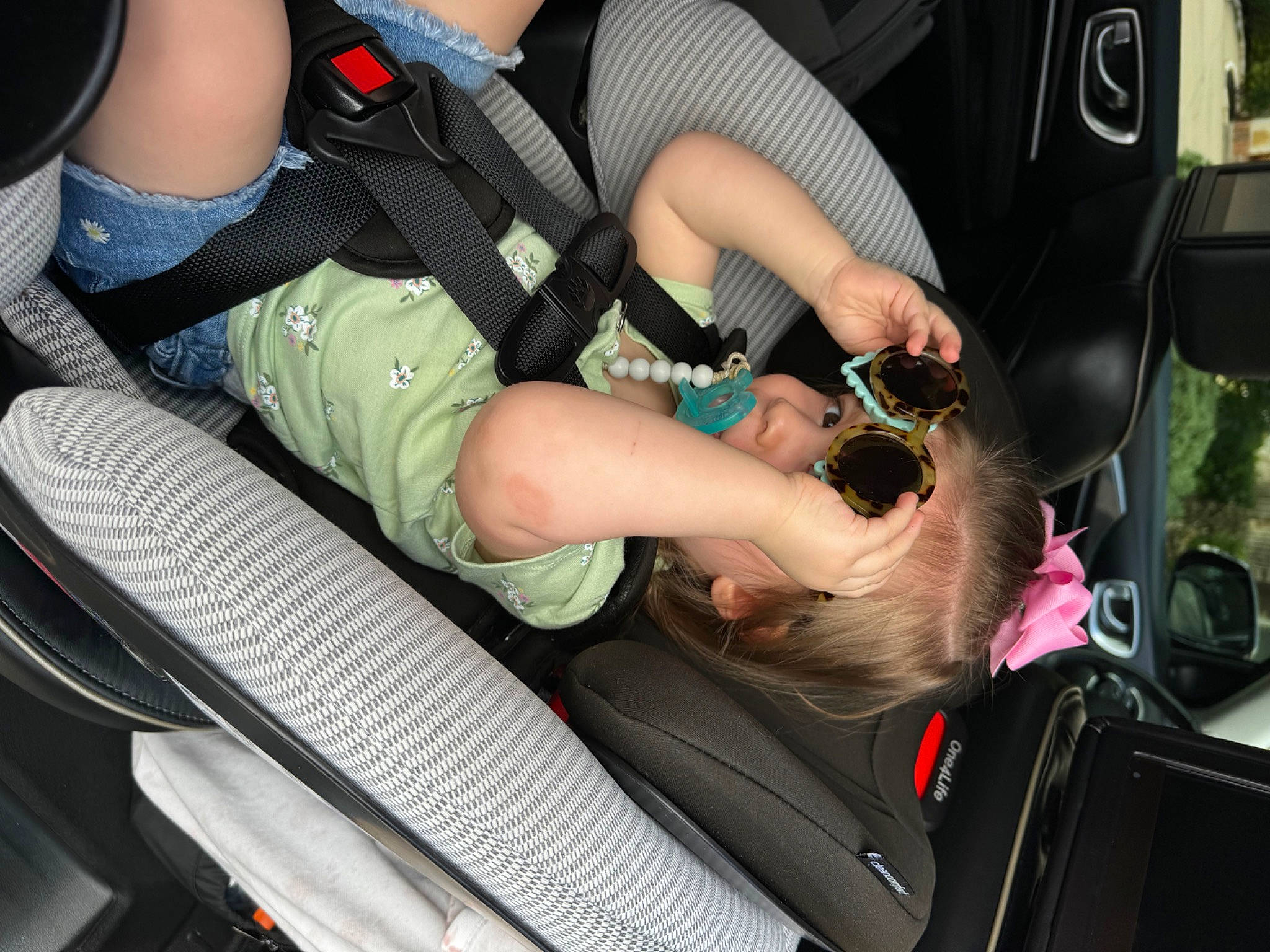 Brooke is registered to the contest to win money with this photo: auto_part, automotive_design, automotive_exterior, automotive_lighting, automotive_tire, car, car_seat, carnivore, dog, human_leg, knee, motor_vehicle, nail, person, seat_belt, steering_wheel, thigh, vehicle, vehicle_door, windshield