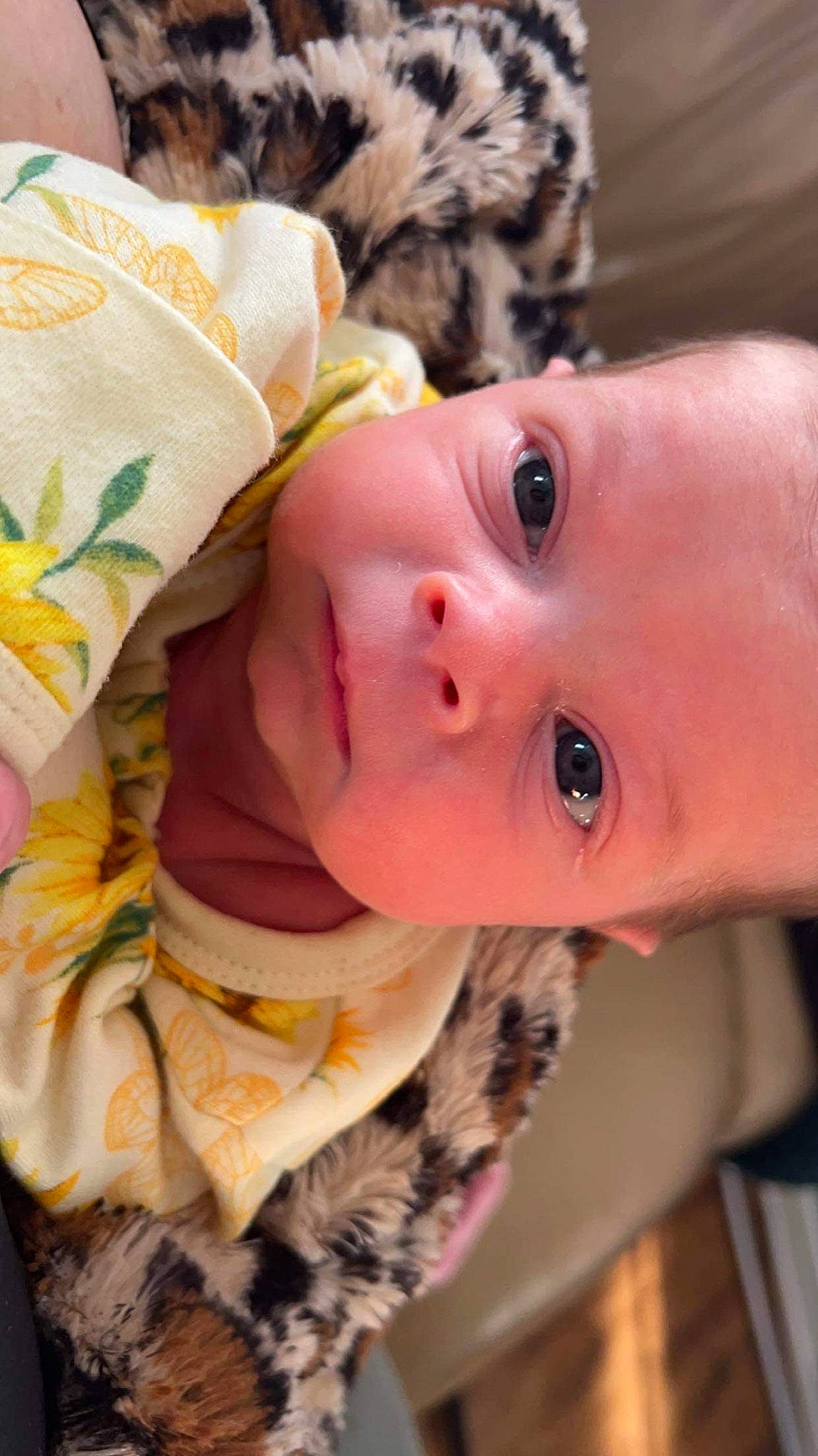 Mylah is registered to the contest to win money with this photo: baby, baby_products, baby_toddler_clothing, cheek, child, eyelash, fun, fur, grass, happy, iris, lip, nose, pattern, person, plant, portrait_photography, skin, toddler, tree