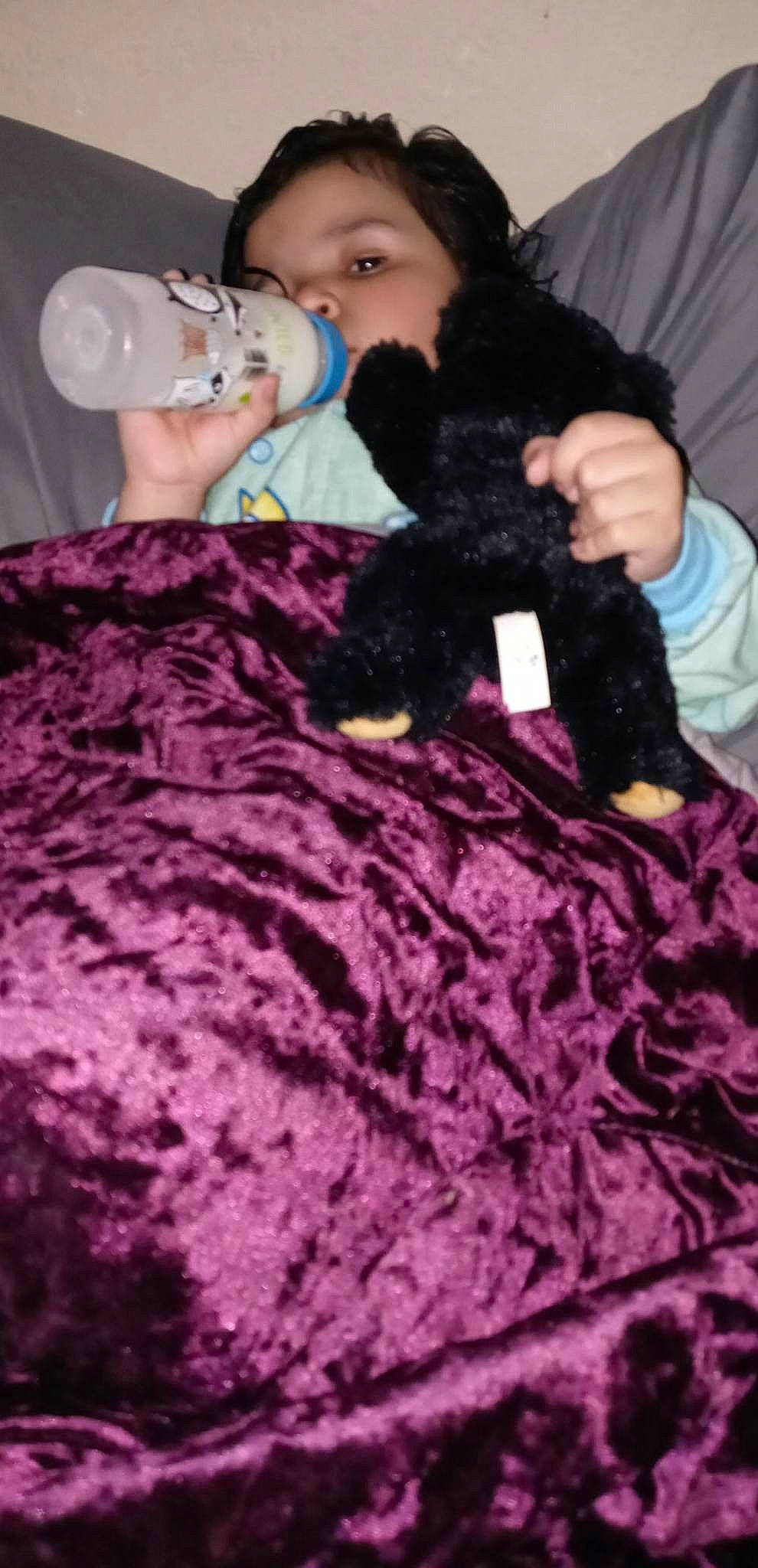 Bella joined the competition — help win amazing prizes! black, companion_dog, dog_breed, drinkware, fashion_design, fur, hand, linens, magenta, nail, pattern, person, pink, purple, sleeve, t_shirt, textile, toy, violet, wool