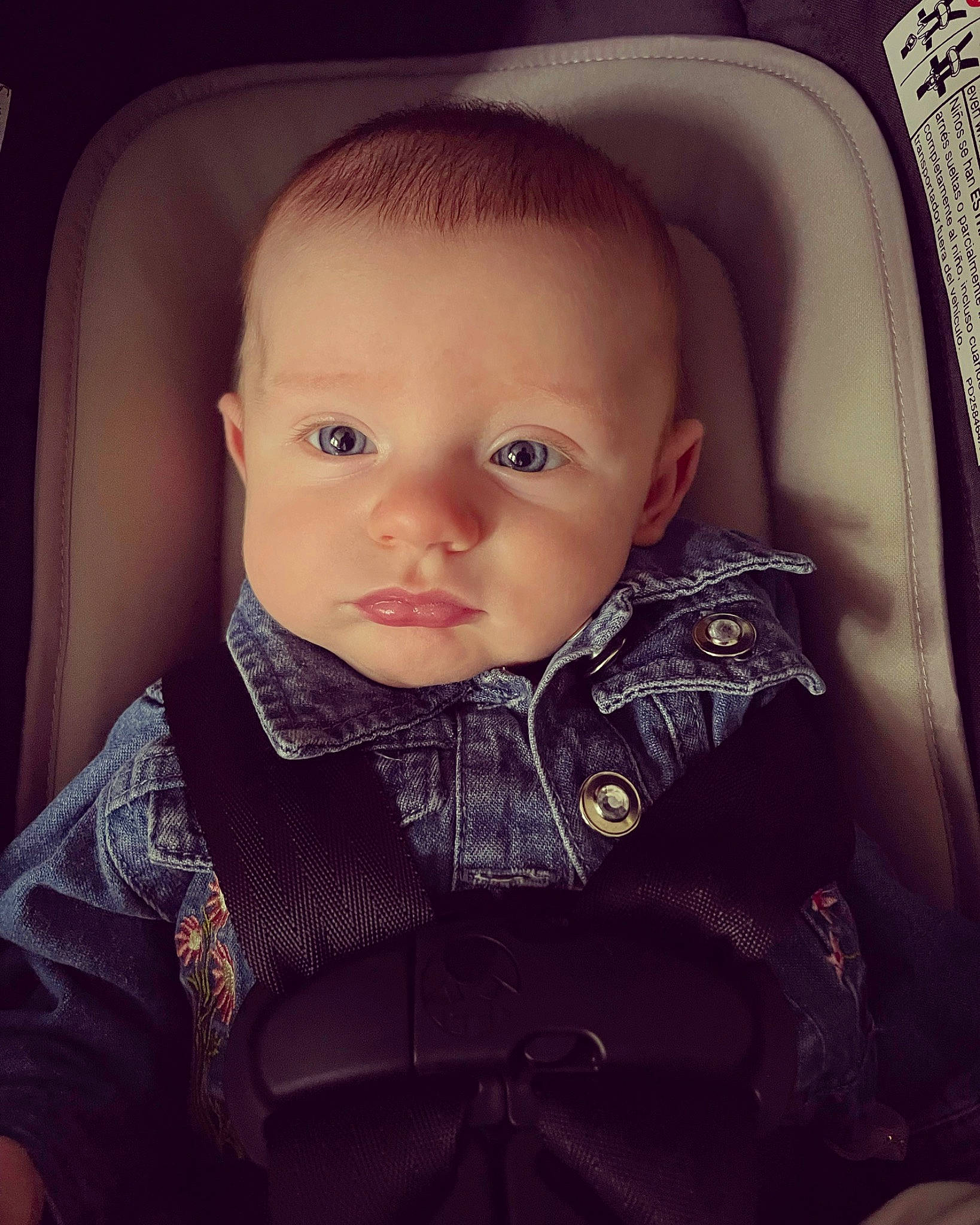 Cassandra joined the competition — help win amazing prizes! baby, baby_toddler_clothing, cheek, child, collar, comfort, cool, flash_photography, happy, jacket, lip, mouth, neck, nose, outerwear, person, selfie, skin, sleeve, tints_and_shades