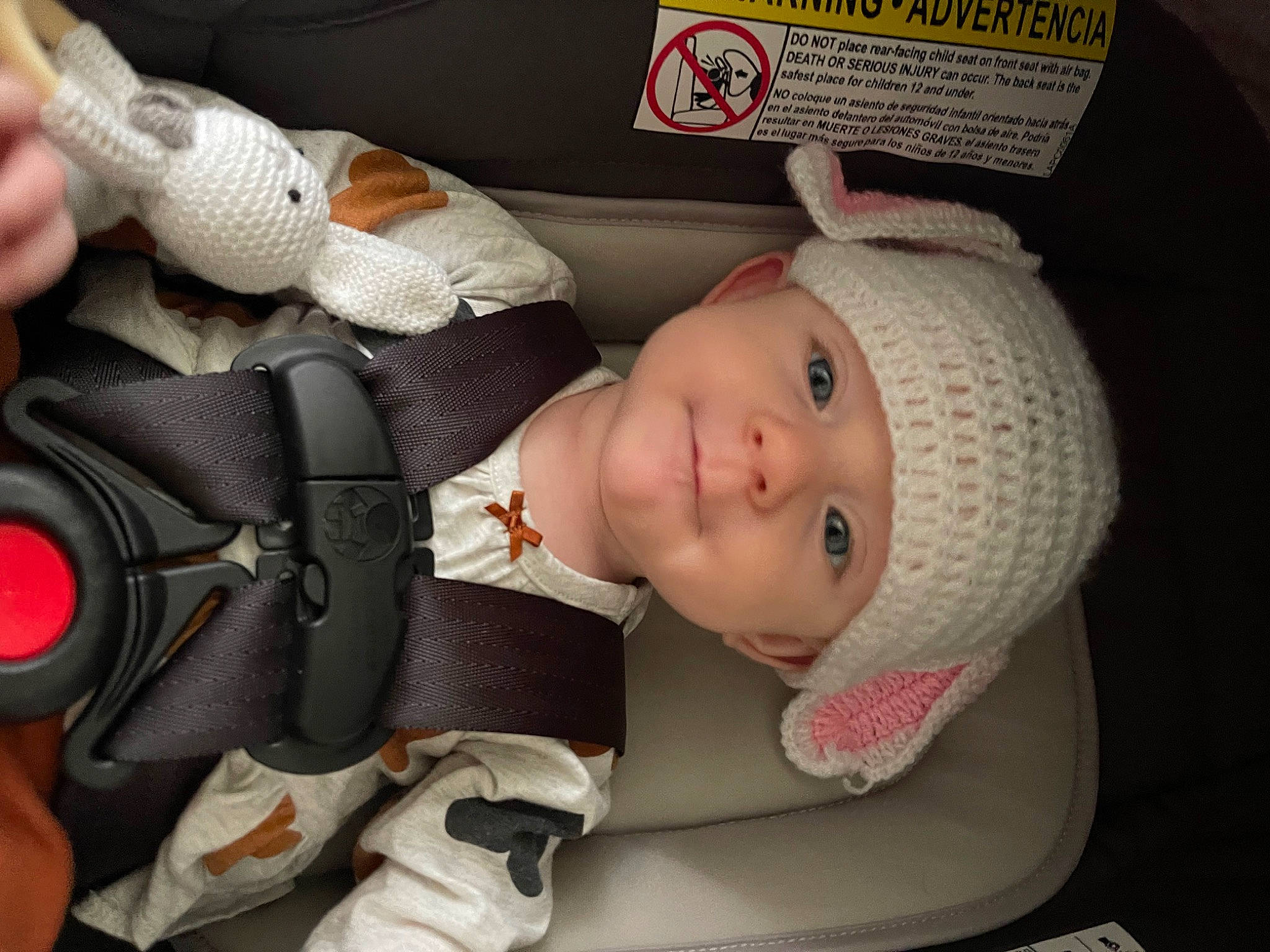 Cassandra is registered to the contest to win money with this photo: auto_part, baby, baby_carriage, baby_in_car_seat, baby_products, baby_safety, baby_toddler_clothing, beanie, cap, car_seat, carmine, cheek, child, comfort, fashion_accessory, headwear, knit_cap, person, skin, thumb