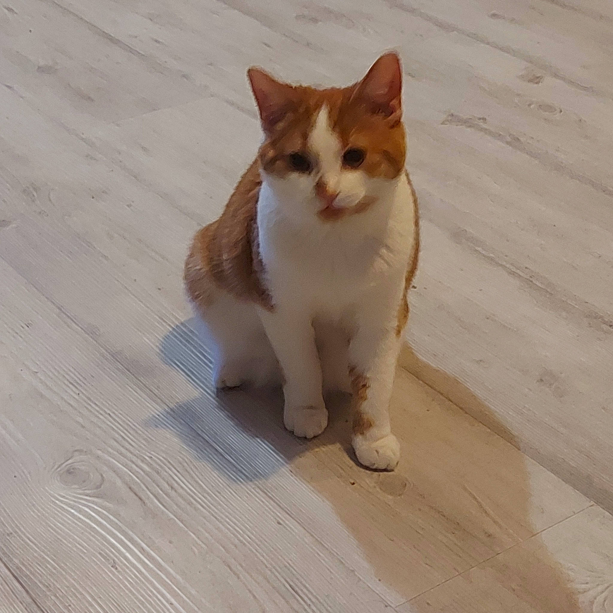 Cinnamon joined the competition — help win amazing prizes! carnivore, cat, composite_material, domestic_short_haired_cat, fawn, felidae, flooring, fur, hardwood, paw, small_to_medium_sized_cats, snout, tail, terrestrial_animal, whiskers, wood, wood_flooring, wood_stain