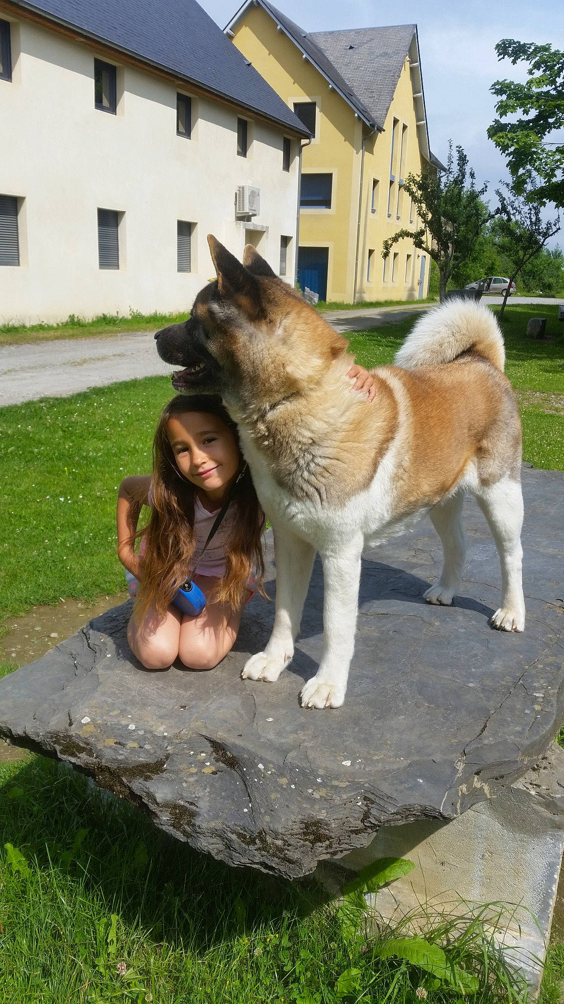 Jiska a rejoint le concours — aidez-le/la à gagner de superbes lots ! akita, akita_inu, ancient_dog_breeds, canidae, carnivore, companion_dog, dog, dog_breed, east_siberian_laika, fawn, greenland_dog, icelandic_sheepdog, mammal, norwegian_buhund, person, shikoku, siberian_husky, spitz, vertebrate, west_siberian_laika