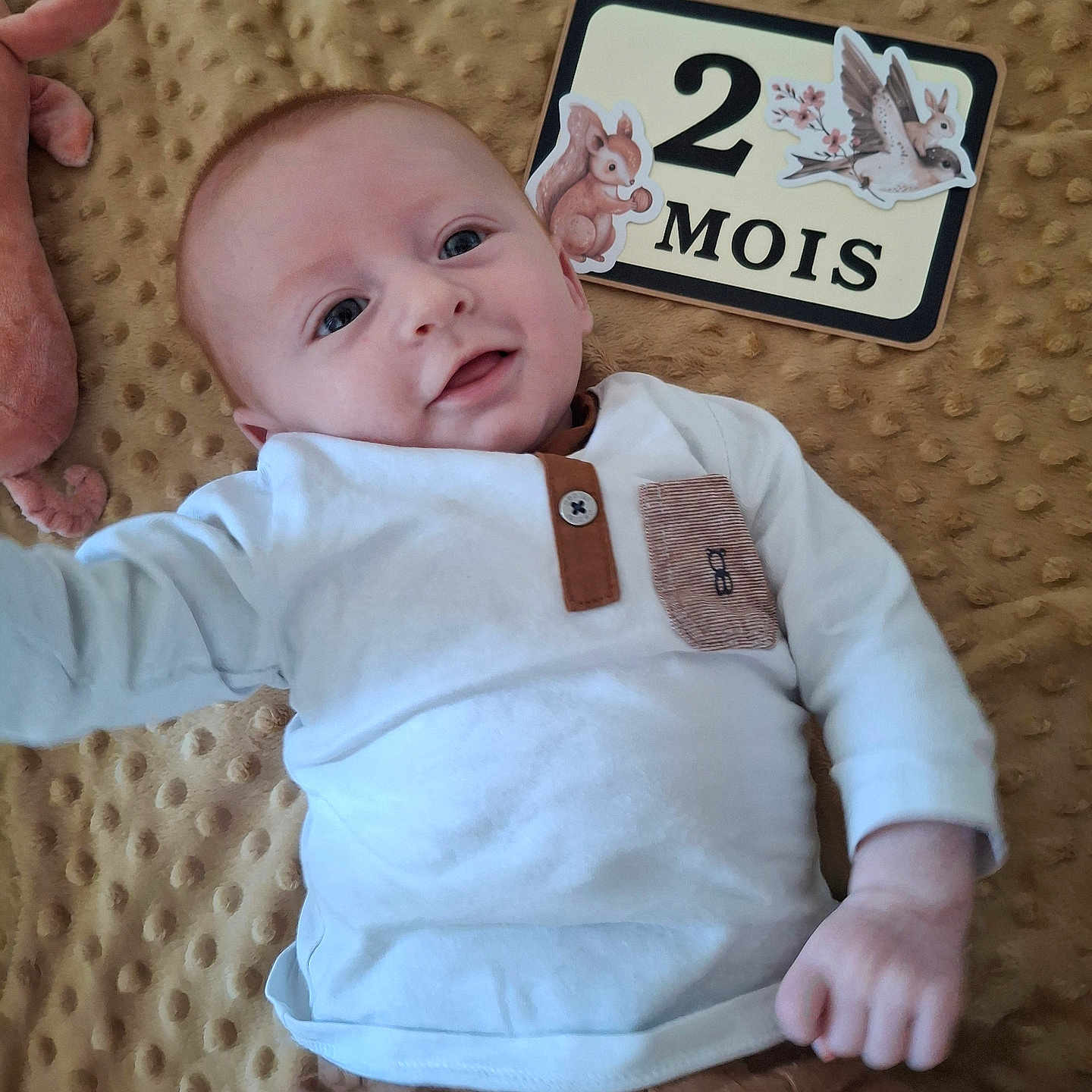 éliot participe au concours pour gagner de l'argent avec cette photo : baby, infant, blanket, clothing, cute, face, hand, lying_down, smile, eyes, child, 2_months, sign, animal_stickers, soft_texture, brown, white_shirt, portrait, happy, young
