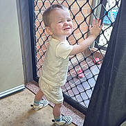 Elijah joined the competition — help win amazing prizes! toddler, child, smiling, standing, indoor, door, mesh_door, brick_wall, carpet, shorts, shirt, footwear, checkered_shoes, hand_on_door, curtain, toy, happy, young_child, person, home