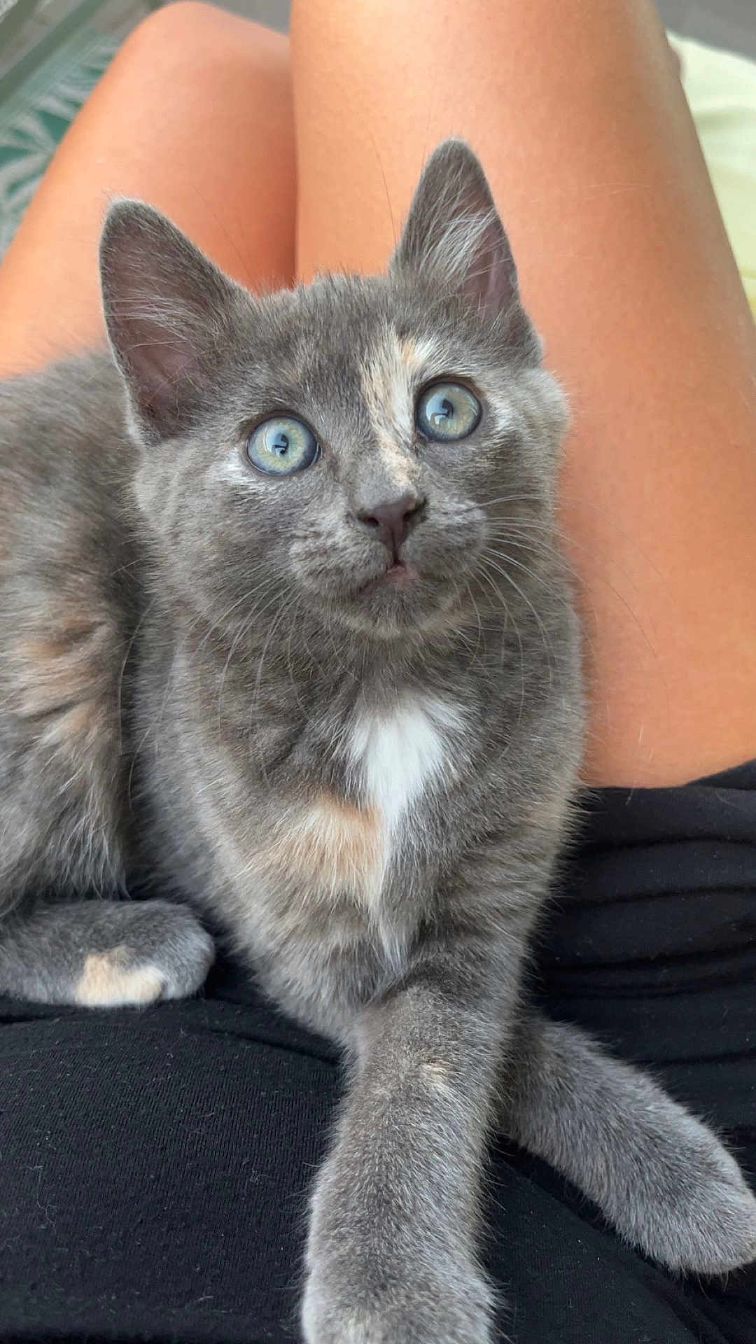 Alma