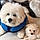 Fluffy And Zukie