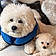 Fluffy And Zukie