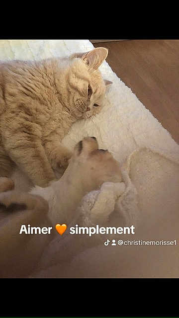 Oliver