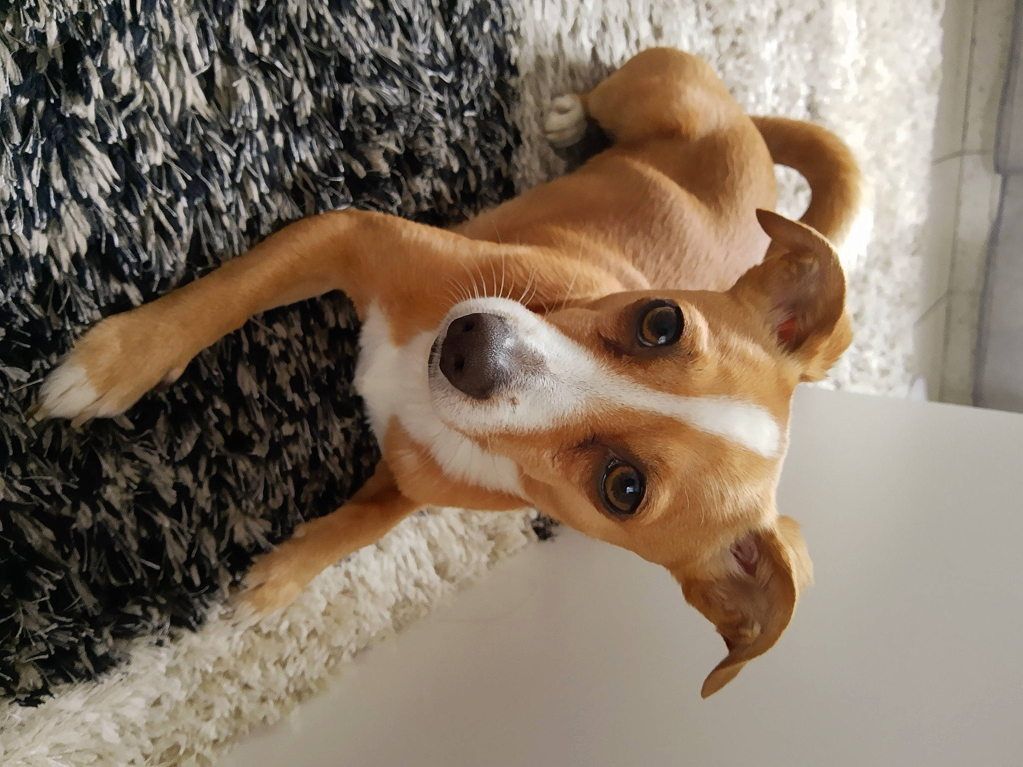 Sam