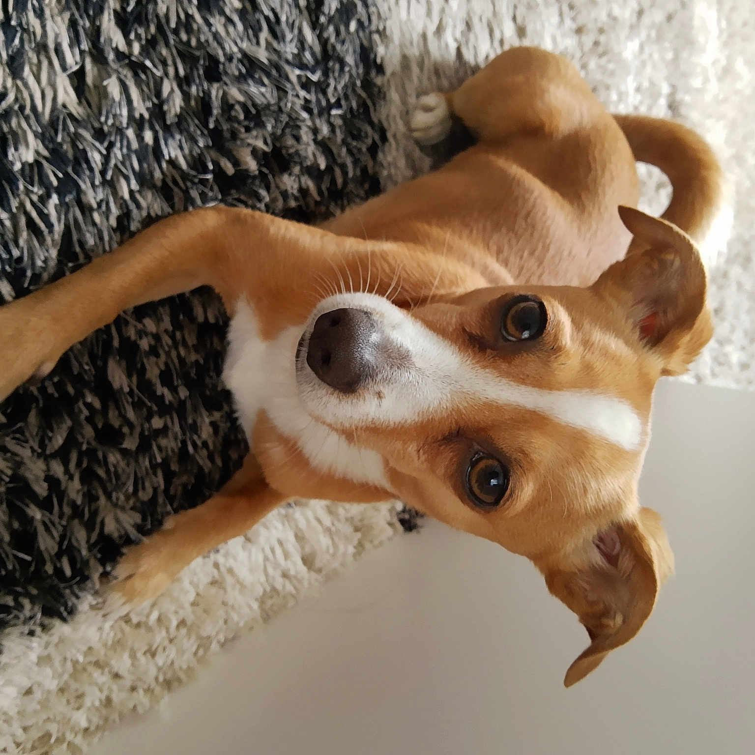 Sam