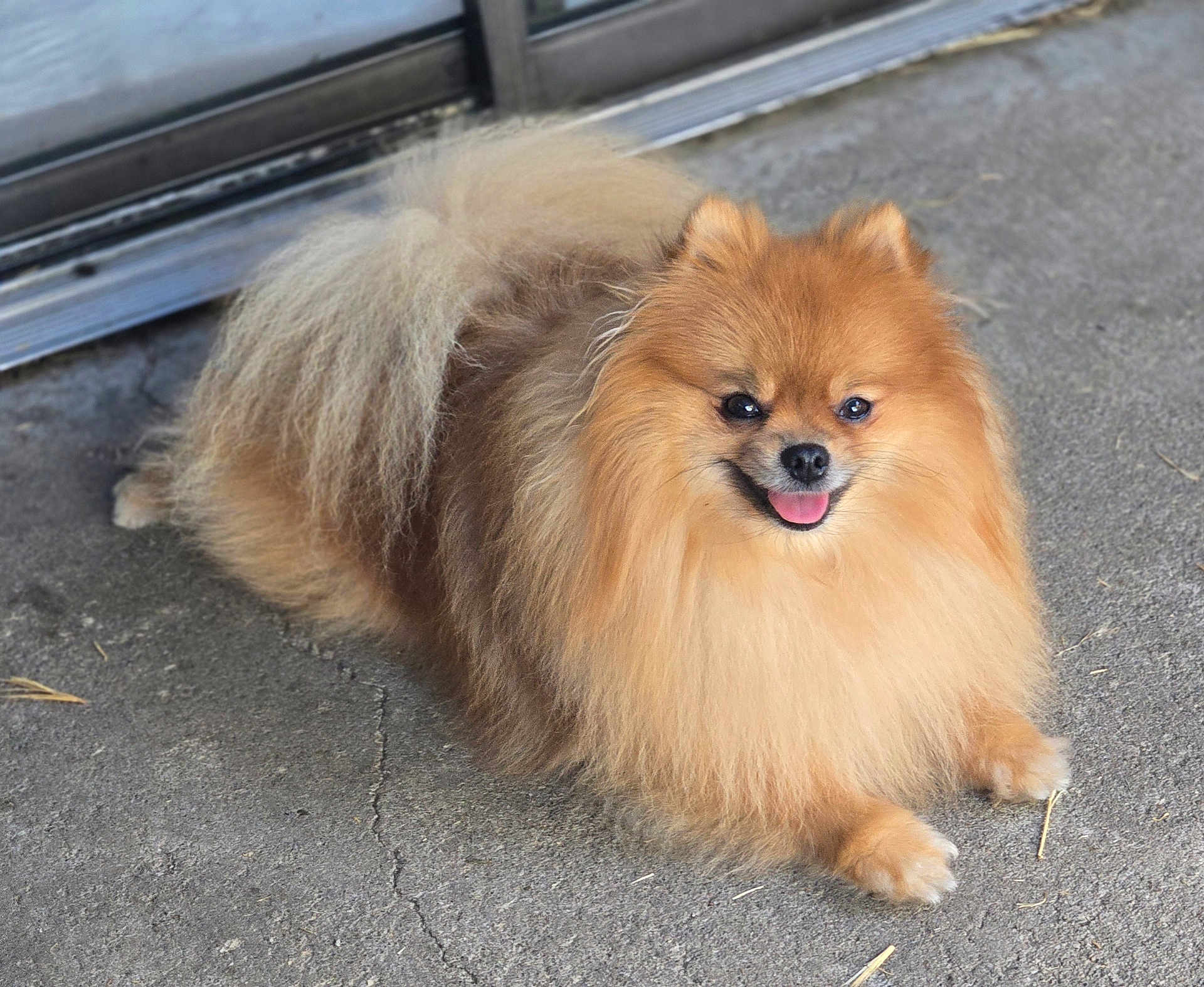 Arlo