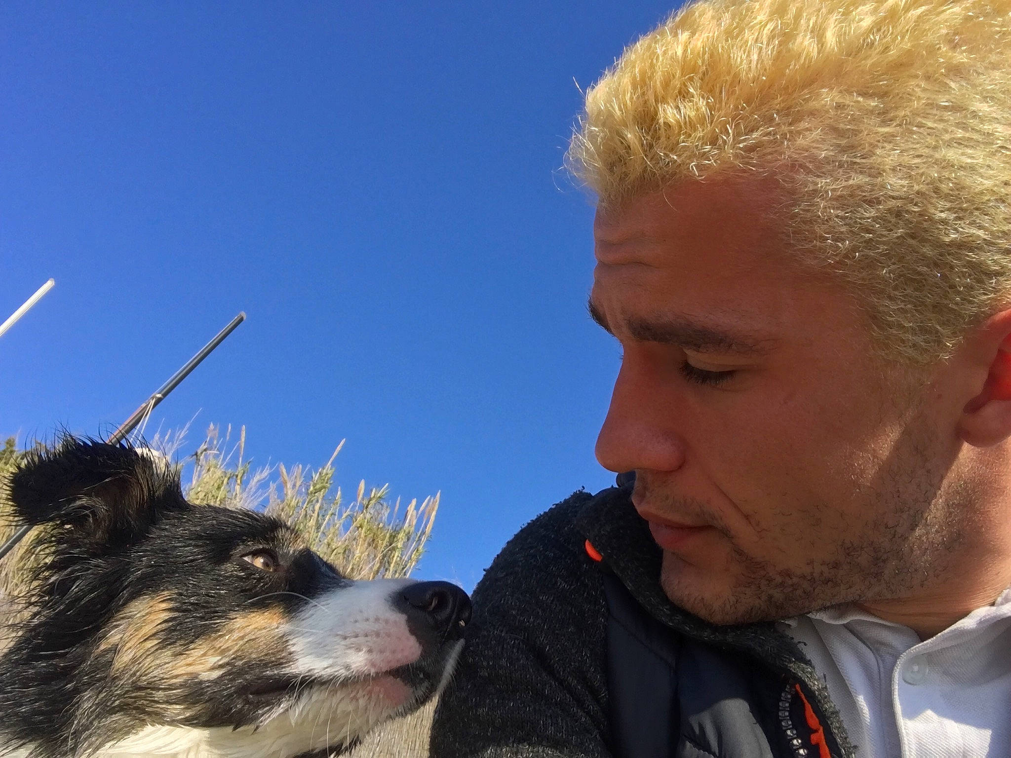 Never participe au concours pour gagner de l'argent avec cette photo : canidae, carnivore, dog, dog_breed, human, mammal, nose, photography, selfie, snout