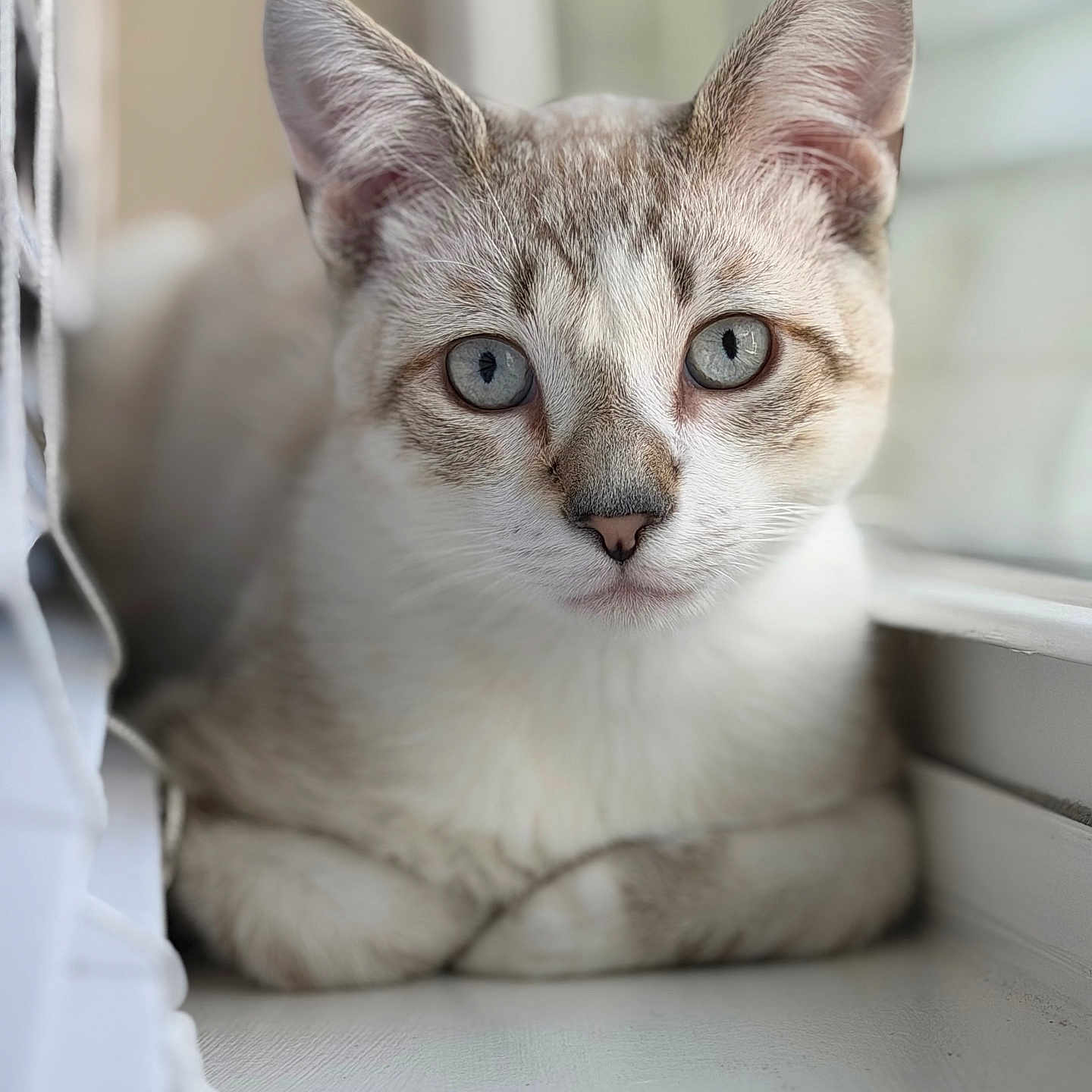 Benito