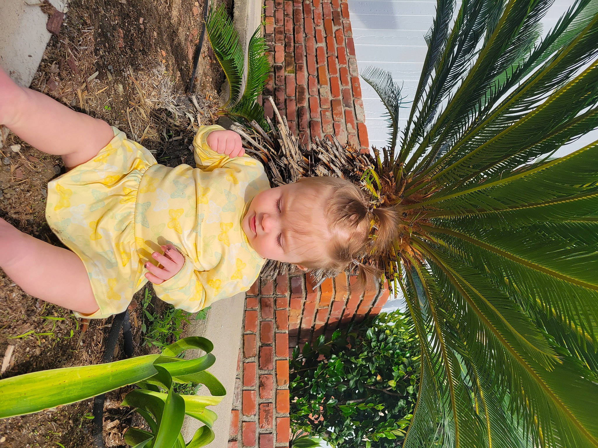 Raelynn is registered to the contest to win money with this photo: arecales, baby_toddler_clothing, botany, child, desert_palm, fun, garden, happy, leaf, leisure, palm_tree, people_in_nature, person, plant, plant_stem, terrestrial_plant, toddler, tree, vacation