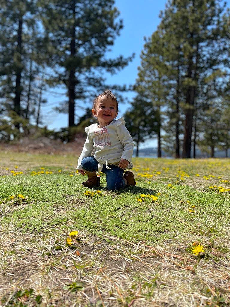 Emma joined the competition — help win amazing prizes! child, deciduous, flower, forest, grass, happy, joy, landscape, lawn, leisure, meadow, natural_landscape, people_in_nature, person, plant, pumpkin, sky, sunlight, toddler, tree