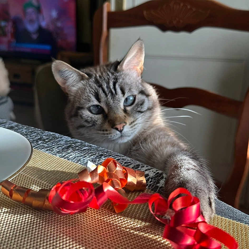 Nala