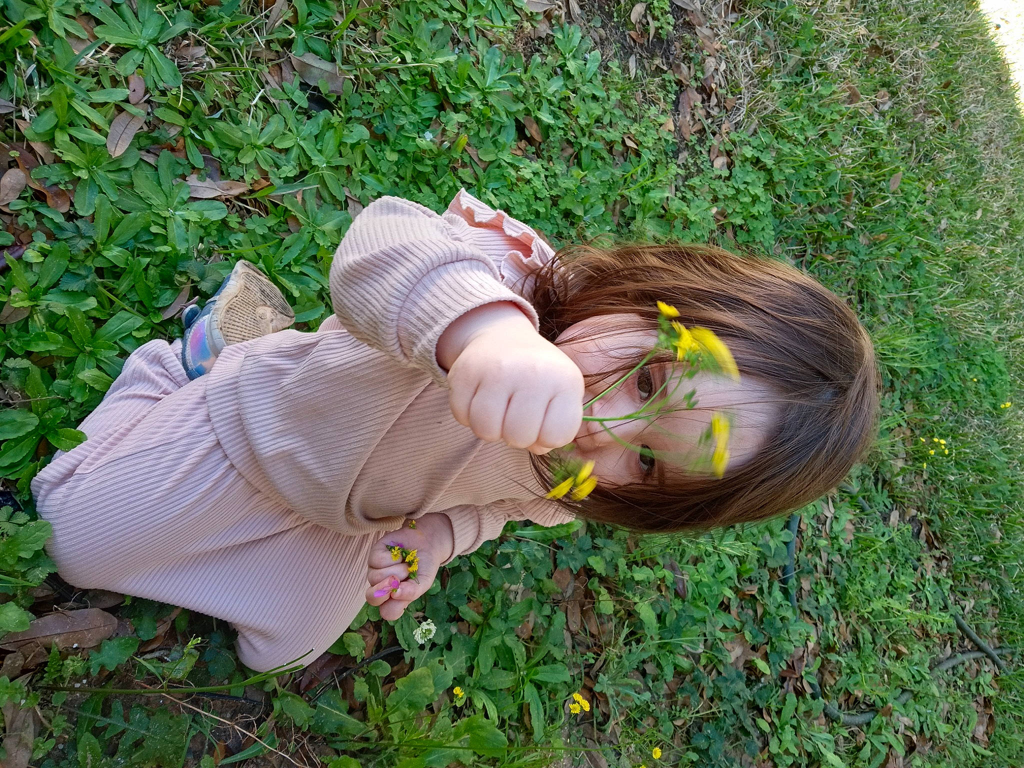 Katherine joined the competition — help win amazing prizes! child, grass, grass_family, grassland, groundcover, happy, pattern, people_in_nature, person, plant, sitting, thumb, toddler