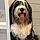 Odie