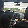car_interior, black_cat, driver, road, dashboard, rearview_mirror, animal, pet, vehicle, person, window, seat, nature, landscape, travel, road_trip, transportation, daytime, sky, greenery