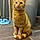 Weasley