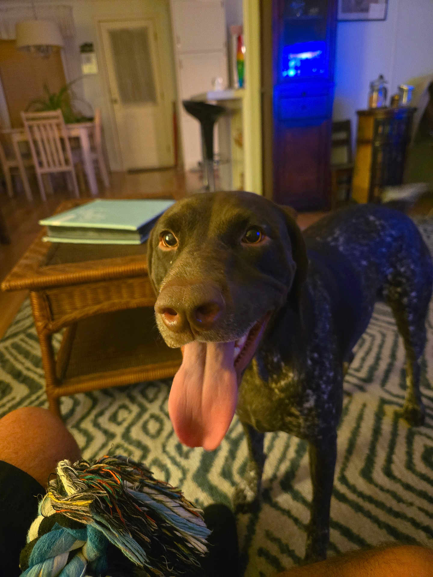 Lola