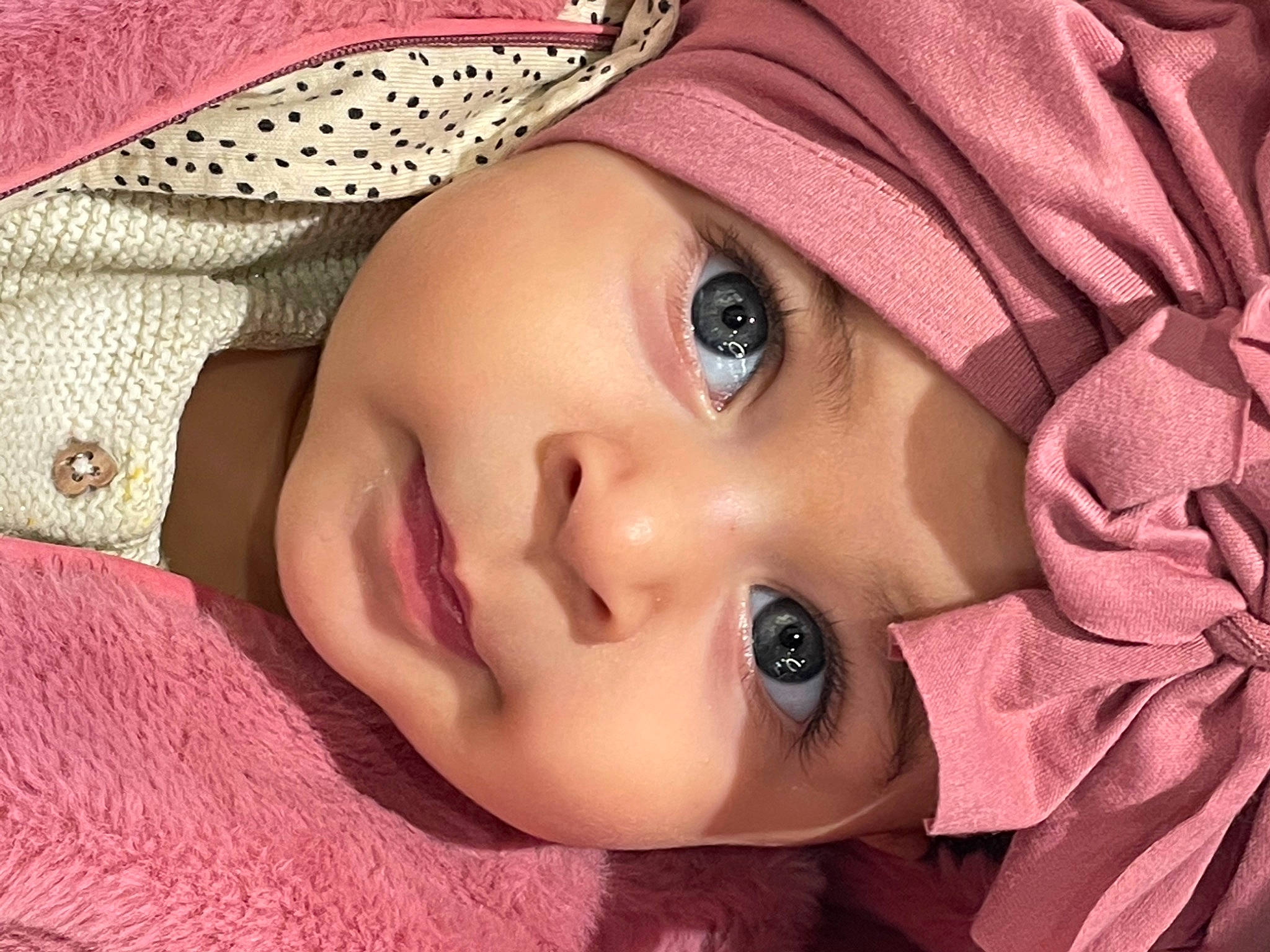 Laya participe au concours pour gagner de l'argent avec cette photo : cap, cheek, chin, cool, eye, eyebrow, eyelash, face, facial_expression, headgear, headwear, iris, lip, mammal, mouth, nose, organ, outerwear, person, pink