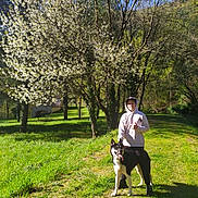 Leia a rejoint le concours — aidez-le/la à gagner de superbes lots ! blossom, blue_sky, canine, dog, field, flower, grass, greenery, happy, hoodie, nature, outdoor, park, person, shadow, smile, spring, sunlight, thumbsup, tree