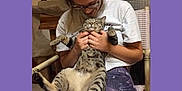 Jaxx joined the competition — help win amazing prizes! affection, cat, chair, comfort, furniture, glasses, hands, happy, home, indoor, lap, leggings, person, pet, relaxed, sitting, smile, tabby_cat, tree_decal, tshirt