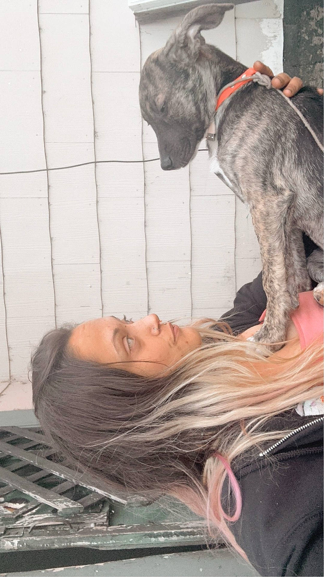 accessories, animal, bulldog, canine, clothing, dog, face, female, girl, glasses, head, hound, pants, person, pet, photography, portrait, puppy, sunglasses, teen