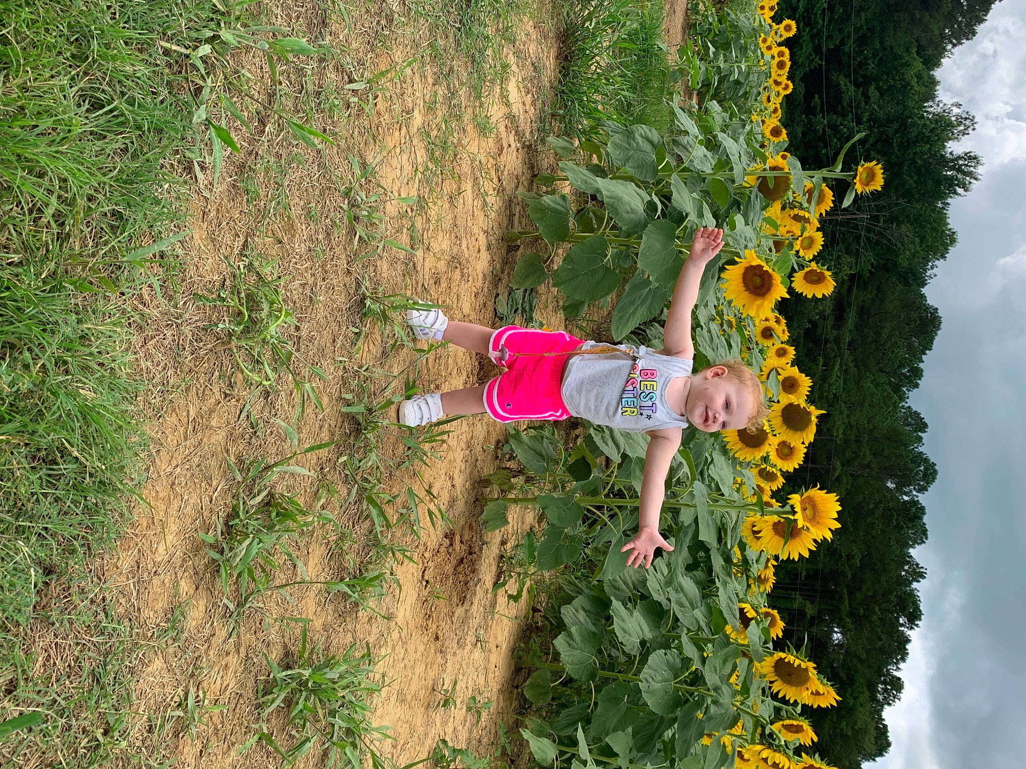 Kynslee is registered to the contest to win money with this photo: flower, fun, grass, grass_family, groundcover, happy, joy, landscape, leisure, people_in_nature, person, plant, recreation, shadow, shrub, sky, soil, toddler, tree, wildflower