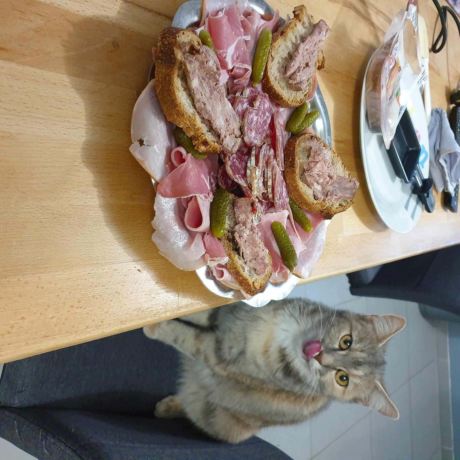 Stella
