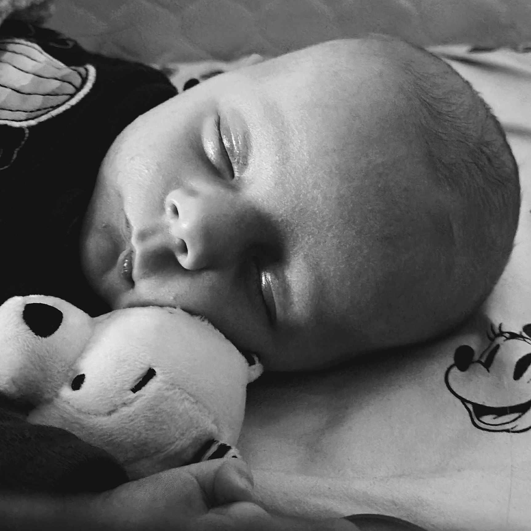 Rhydian joined the competition — help win amazing prizes! animal, baby, bear, bed, bodypart, cushion, face, finger, furniture, giantpanda, hand, head, newborn, person, photography, portrait, skin, sleeping, tattoo, toy