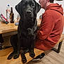 black_dog, labrador, dog, person, bench, wooden_table, bottle, snacks, clock, indoor, floor, sneakers, hoodie, seated, pet, animal, side_view, casual, relaxed, companion