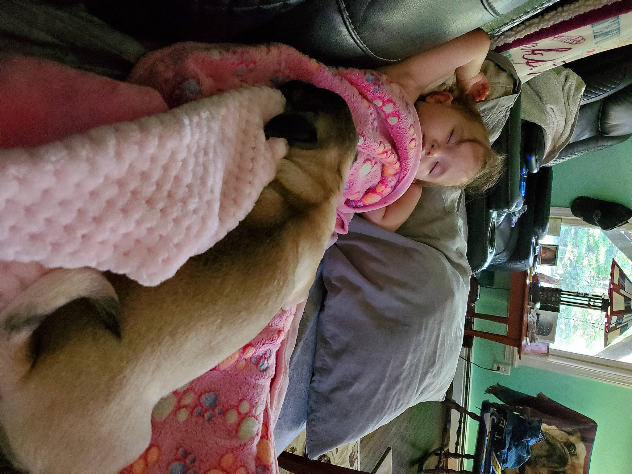 Daisy Kay Perkins joined the competition — help win amazing prizes! baby, baby_products, car_seat, comfort, eye, eyewear, family_car, felidae, flesh, fun, fur, human_leg, linens, nail, pink, sunglasses, textile, toddler, tree, vehicle_door