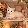 animal, books, bookshelf, cat, cat_figurine, cozy_decor, feline, floral_arrangement, flowers, fluffy, green_eyes, houseplants, indoors, lying_down, pet, pink_nose, pumpkin, sitting, trailing_vines, white_cat