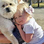 Boscoe joined the competition — help win amazing prizes! affection, arm, bow, casual_clothing, child, dog, grass, holding, hug, human, outdoor, person, pet, smiling, suburban, sunlight, toddler, tree, vehicle, white_dog