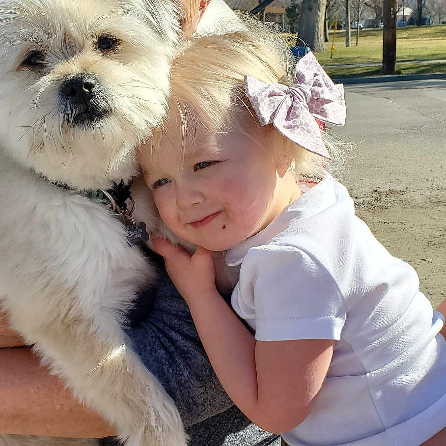 Boscoe joined the competition — help win amazing prizes! affection, arm, bow, casual_clothing, child, dog, grass, holding, hug, human, outdoor, person, pet, smiling, suburban, sunlight, toddler, tree, vehicle, white_dog