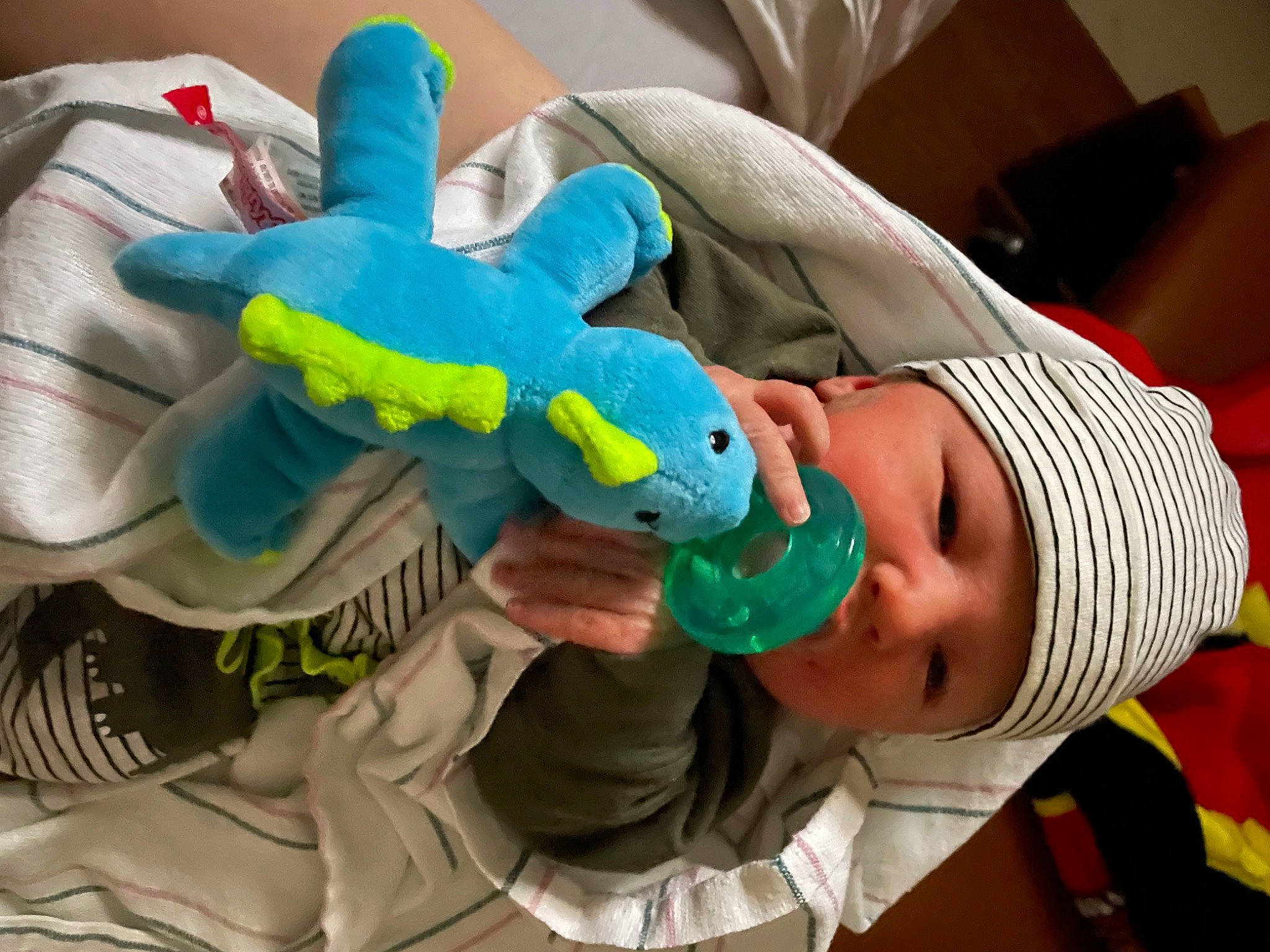 Cashton joined the competition — help win amazing prizes! animation, baby, baby_products, baby_toys, child, electric_blue, fictional_character, finger, fun, headwear, mouth, nail, organism, parrot, person, play, plush, room, stuffed_toy, thumb