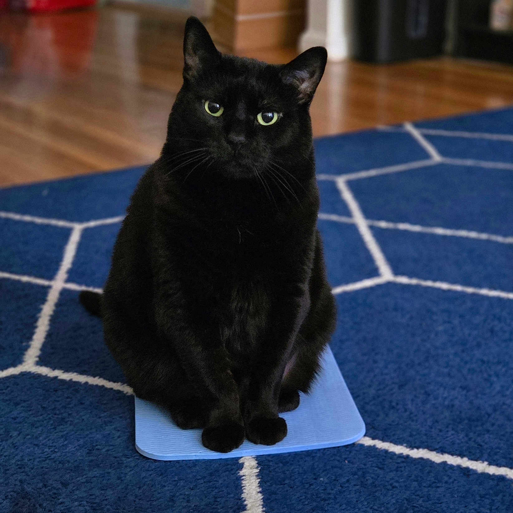 Luna