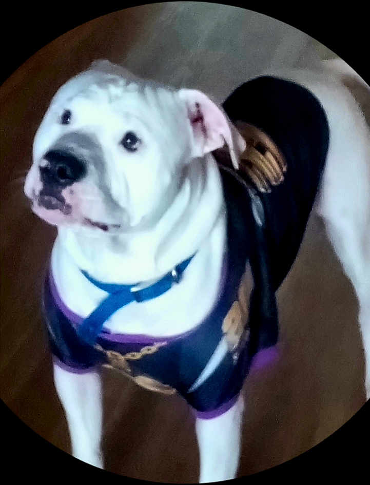 Sampson
