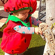 Nolan a rejoint le concours — aidez-le/la à gagner de superbes lots ! toddler, child, costume, strawberry, red, green, outdoor, tree, branch, grass, sunlight, curious, yellow_shoes, playful, nature, baby, cute, striped_shirt, exploring, garden