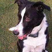 Cooky a rejoint le concours — aidez-le/la à gagner de superbes lots !