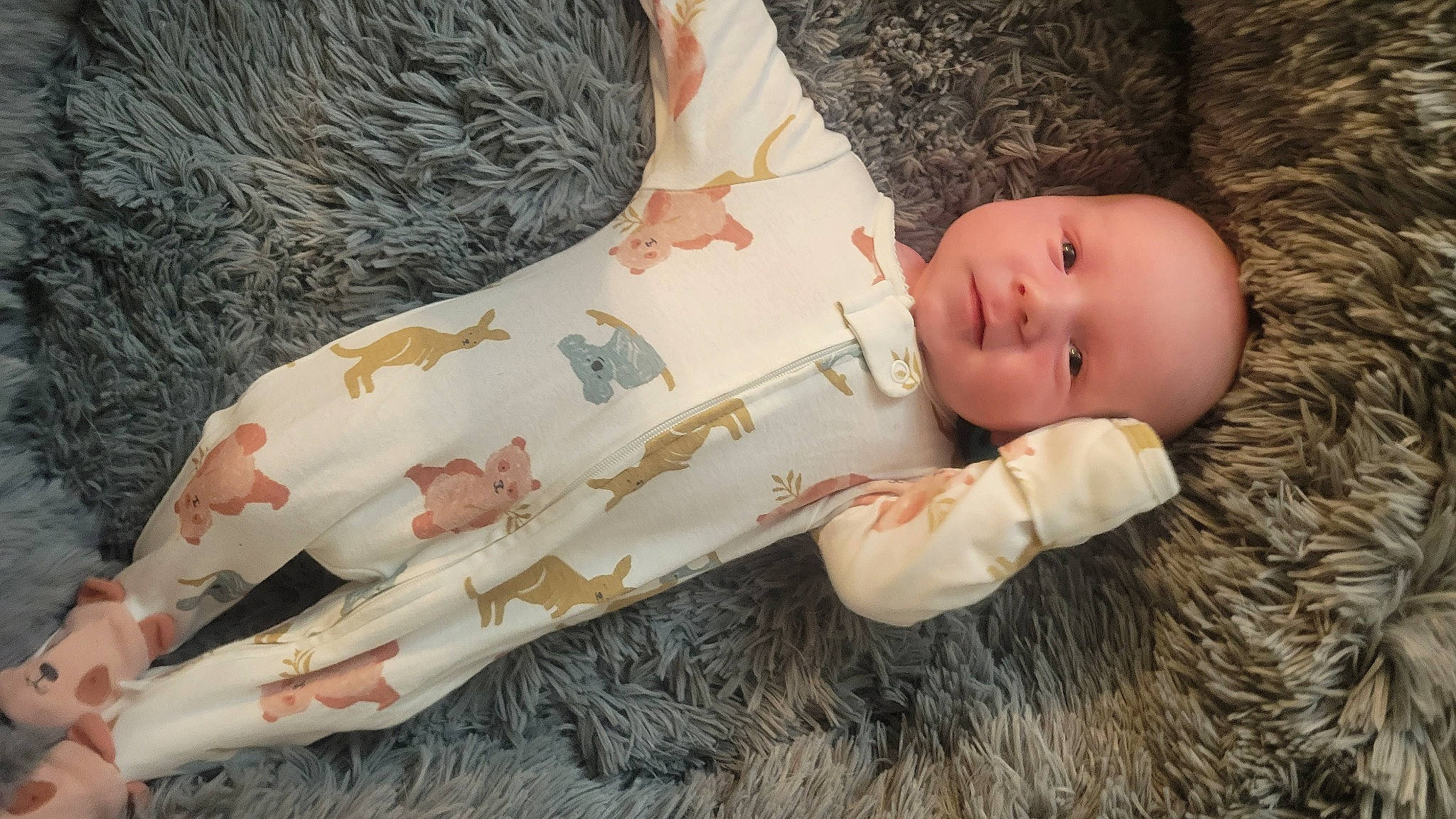 Dax joined the competition — help win amazing prizes! baby, baby_toddler_clothing, cheek, comfort, doll, dress, eye, fawn, head, human_body, iris, linens, outerwear, person, skin, sleeve, textile, toddler, toy, wood