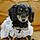 Sookie
