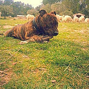 Ilrock a rejoint le concours — aidez-le/la à gagner de superbes lots !